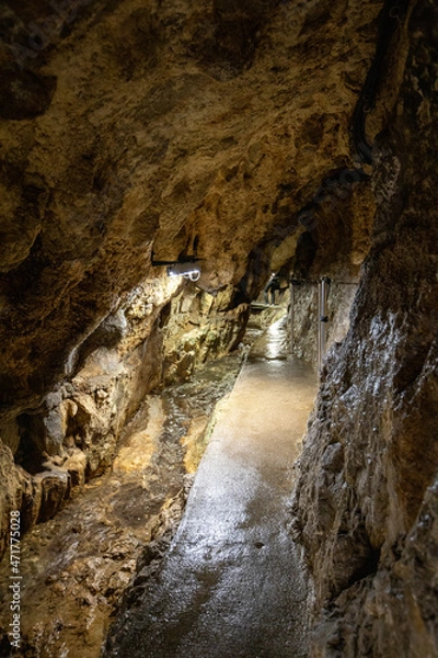 Obraz 高知・龍河洞