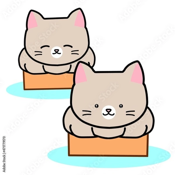 Obraz 段ボール箱に入る猫さん