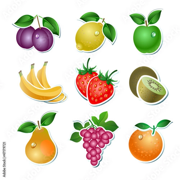 Obraz Set of vector fruit on the white background