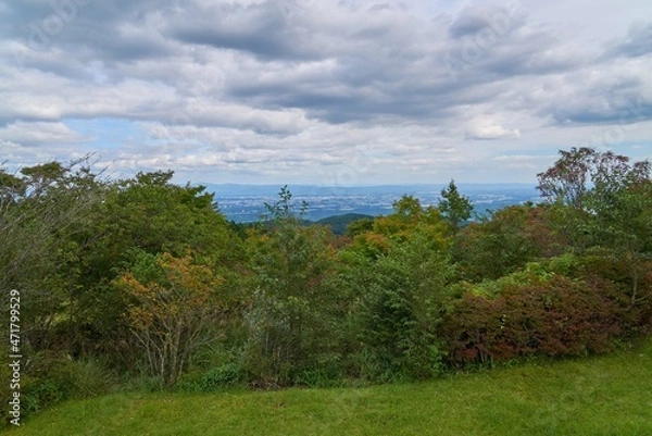 Obraz 植樹祭記念緑地公園