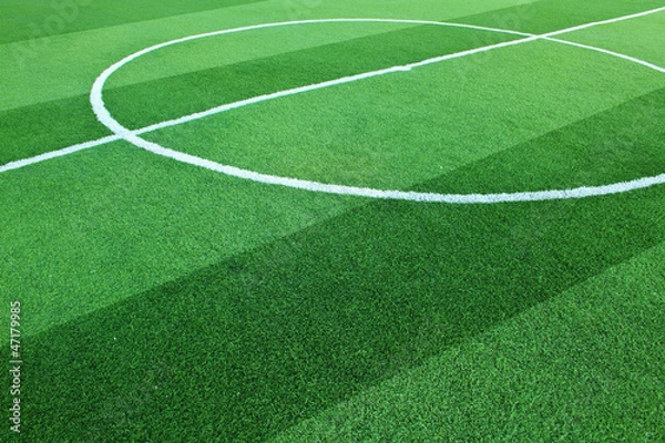 Obraz Artificial grass soccer field