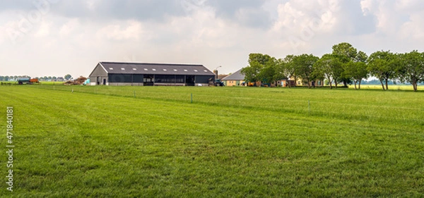Fototapeta Modern Dutch farm with lots of grassland in the province of North Brabant. The photo was taken on a slightly cloudy day at the end of the spring season.