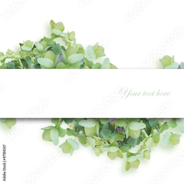 Fototapeta 緑系の花、中心書き込み欄あり