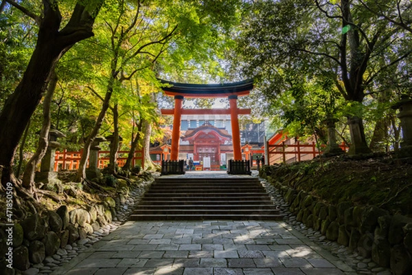 Fototapeta 宇佐神宮