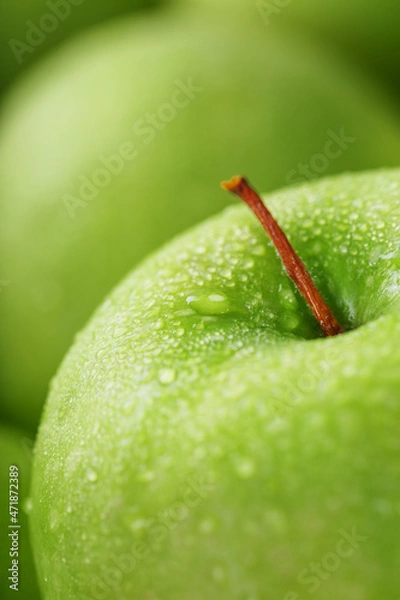 Fototapeta Ripe fruit of a green apple in close-up with dew drops.