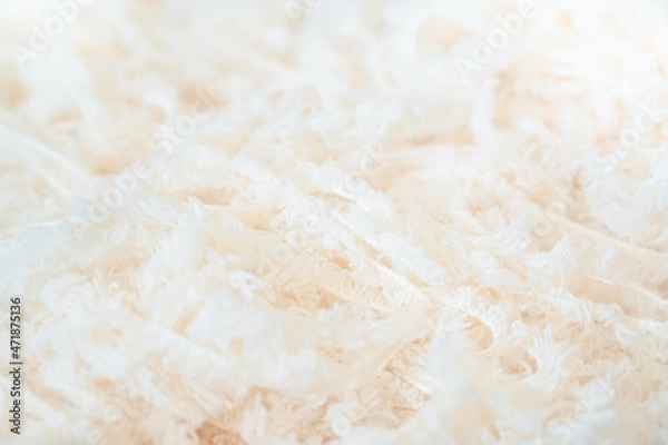 Fototapeta ふわふわな白い毛糸