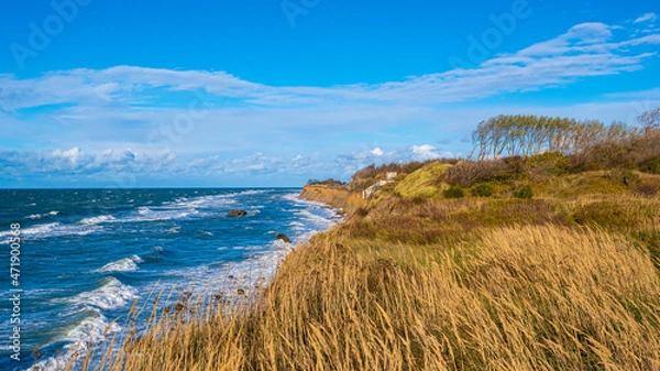 Fototapeta Steilküste an der Ostsee bei Ahrenshoop Fischland Darß