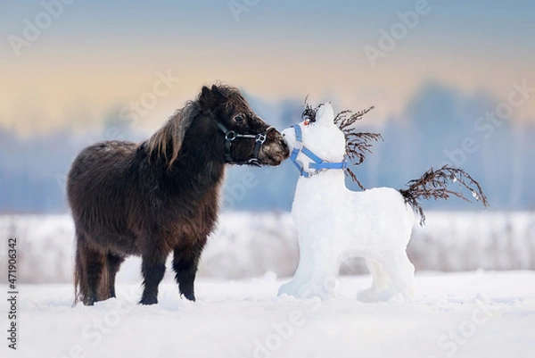 Fototapeta Funny little pony with a horse shaped snowman in winter