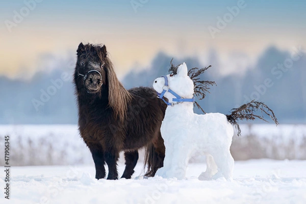 Fototapeta Little pony with a horse shaped snowman in winter