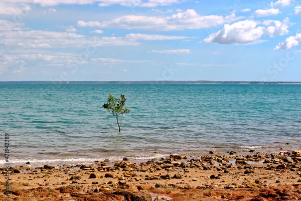 Fototapeta Darwin Harbour