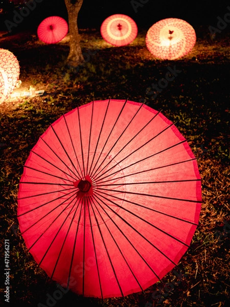 Fototapeta ライトアップされた傘