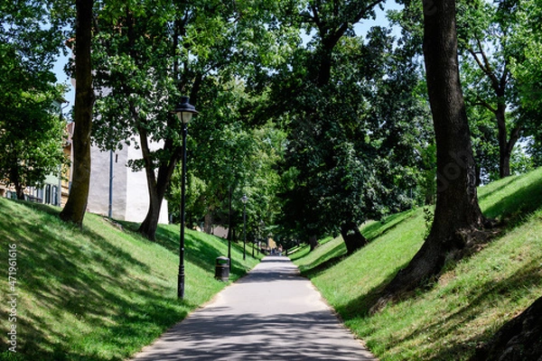 Fototapeta Long alley and green trees in the Citadel Park (Parcul Cetatii), in the historical center of the Sibiu city, in Transylvania (Transilvania) region of Romania, in a sunny summer day.
