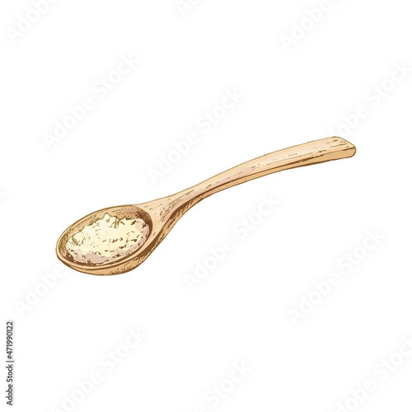 Obraz Wooden spoon with crushed piece salt. Vintage vector hatching