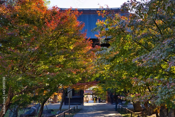 Obraz 九品仏浄真寺