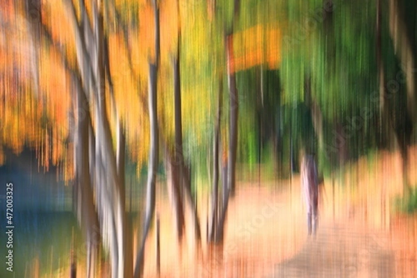 Obraz ICM photography, 都筑中央公園でのICM写真