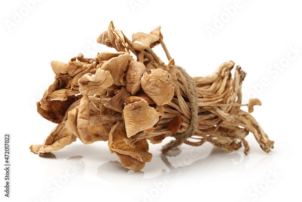 Obraz dried mushroom on white background
