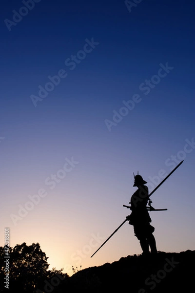 Fototapeta 戦国武将のイメージの縦写真