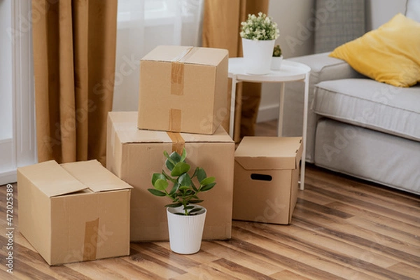 Obraz Moving in out, cardboard boxes with packed things, renting selling an apartment, changing location