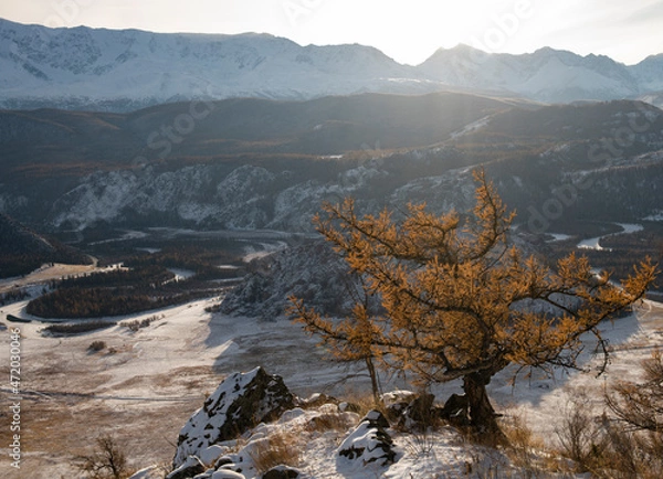 Obraz snow covered mountains