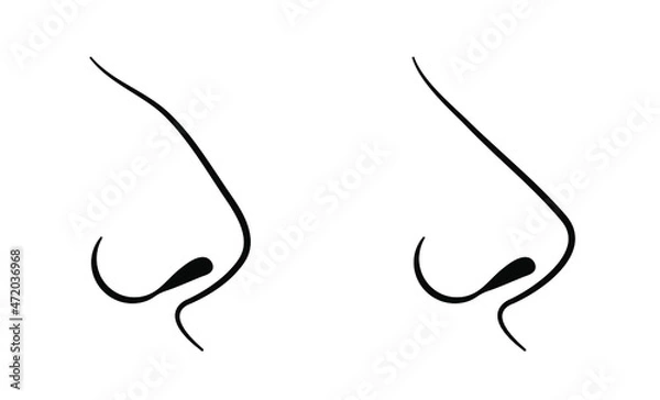 Fototapeta Nose contour, rhinoplasty. Curve and straight. Vector illustration, flat minimal cartoon design, isolated on white background, eps 10.
