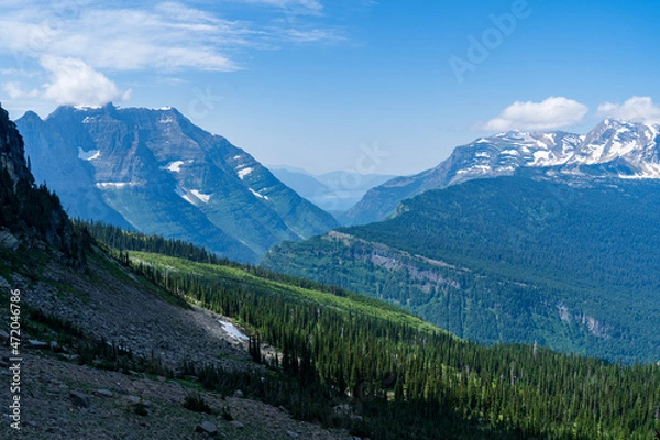 Fototapeta View of Lake McDonald from a distance through the trees in Glacier National Park, as viewed from hiking on the Highline Trail by the Going to the Sun Road on a sunny summer day