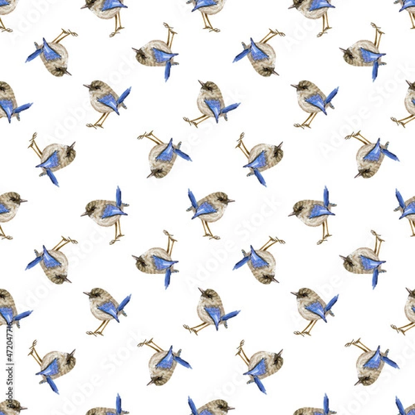 Fototapeta Watercolor hand drawn Seamless Pattern with Birds on a white background.