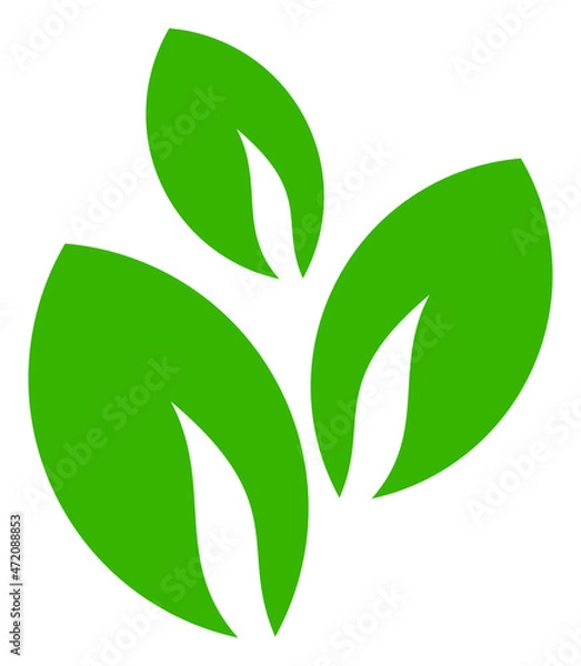 Fototapeta Green tea leaves vector illustration on a white background. An isolated flat icon illustration of green tea leaves.