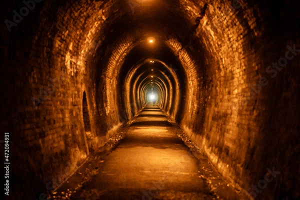 Fototapeta Old Mine Tunnel at Karangahake gorge in New Zealand