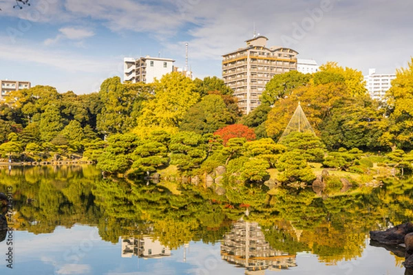 Fototapeta 秋の清澄庭園
