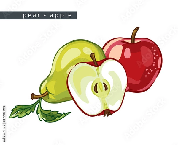 Obraz sketch_pear_apple_two_whole_fruits_half_and_leaves