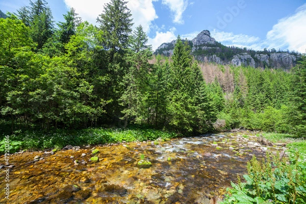 Obraz Dolina Kościeliska