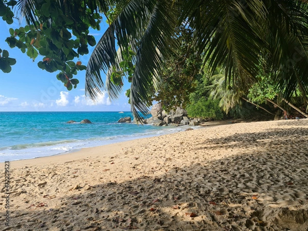 Obraz Sunset beach Mahé Seychelles