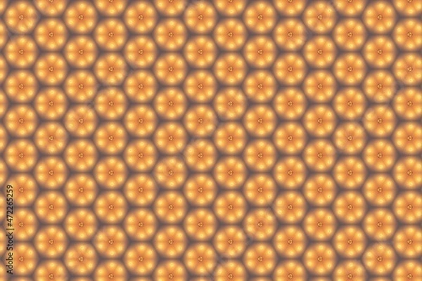 Obraz Beautiful Wall Stencil Pattern 