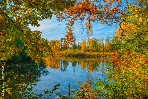 Obraz Malerische Herbstlandschaft mit See und bunten Bäumen, die sich im blauen Wasser spiegeln