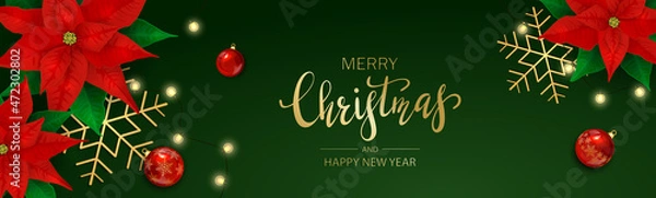 Fototapeta Poinsettia and Christmas Lights on Green Banner