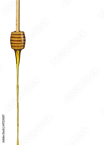 Obraz Honey dipper