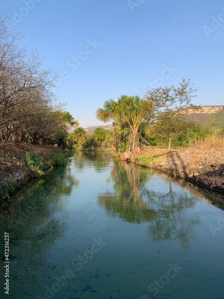 Fototapeta river in the forest