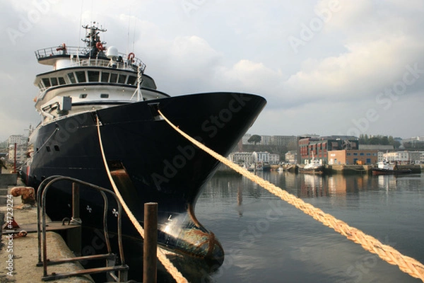 Fototapeta Abeille bourbon dans le port de brest