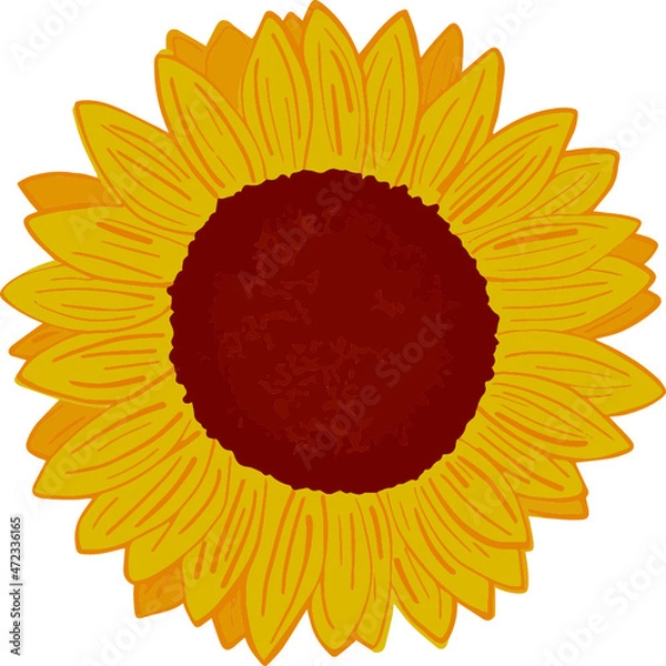 Obraz Yellow Sunflower Graphic Vector Image
