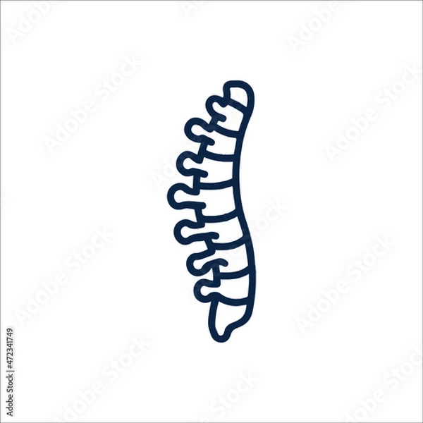 Obraz Bone skeleton spine icon