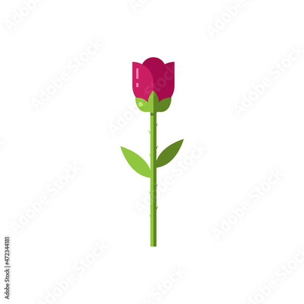 Fototapeta Rose in flat design. Flower on an isolated white background. Vector stock illustration
