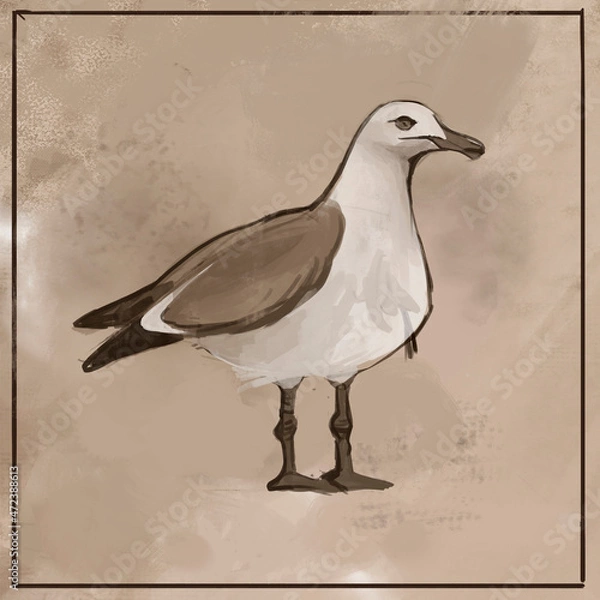 Obraz illustration of a seagull with white wings