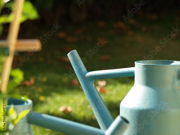 Obraz OLYMPUS DIGITAL CAMERA