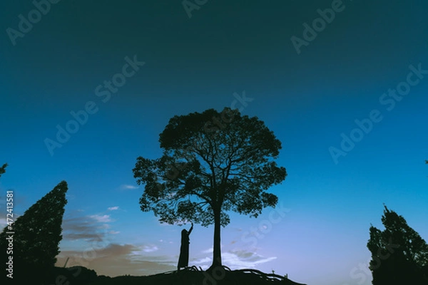 Obraz キンドルの木