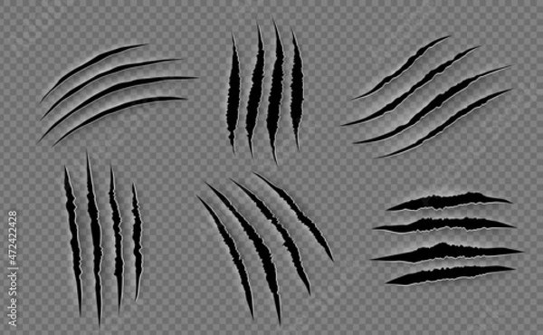 Fototapeta Claw scratches. Animal claw marks, claw scratches from animal attacks. Vector realistic image.