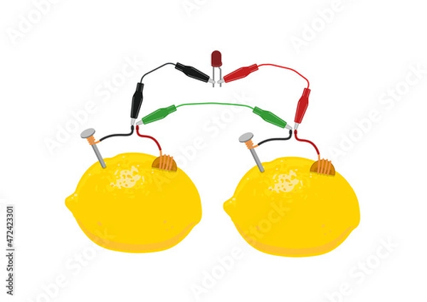 Obraz Free energy electricity generator using Lemon. Lemon battery STEM activity with lemons.