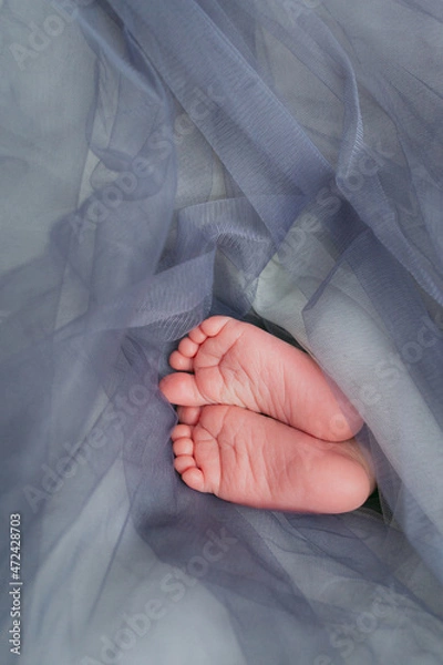 Obraz Baby's feet under a gray blanket