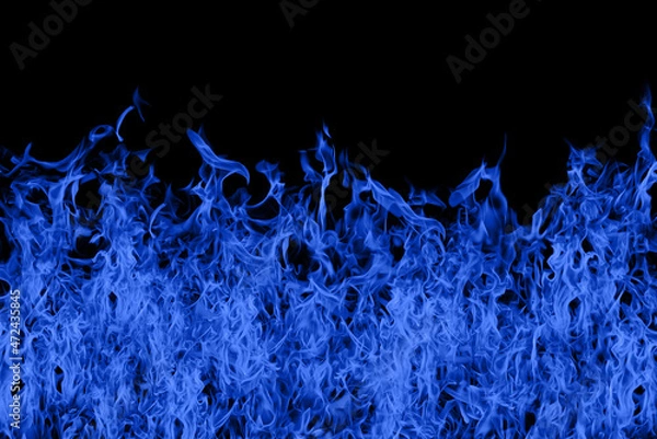 Fototapeta Violently burning blue flames on a black background.