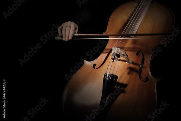 Fototapeta Cello player. Cellist hands playing cello closeup. Violoncello