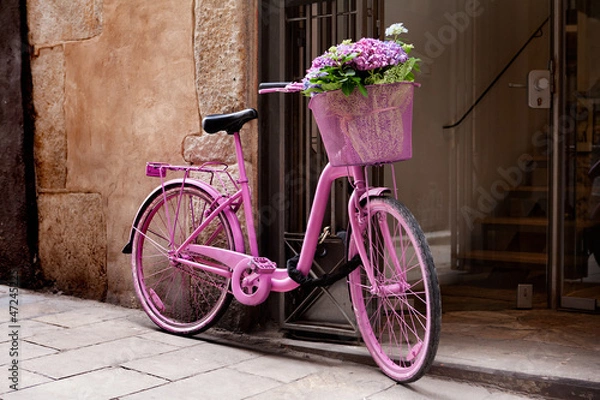 Obraz pink bicycle